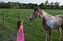 Kids_Bluebonnets2013 (264)
